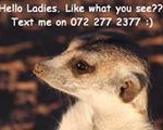 Meerkat Manor in the Kalahari Part 2 - 23